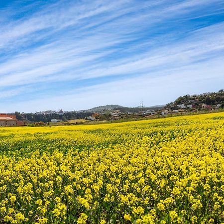Dejablue. Villa Rural Junto Al Mar Y La Montana Santa Maria de Guia de Gran Canaria Ngoại thất bức ảnh